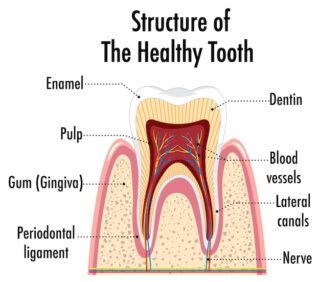 https://test1.netweb.io.vn/wp-content/uploads/2025/02/Periodontal-Care-3-320x282.jpg